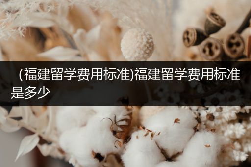 （福建留学费用标准)福建留学费用标准是多少