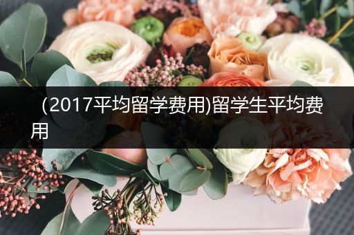 （2017平均留学费用)留学生平均费用