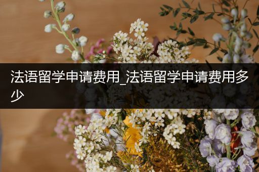 法语留学申请费用_法语留学申请费用多少