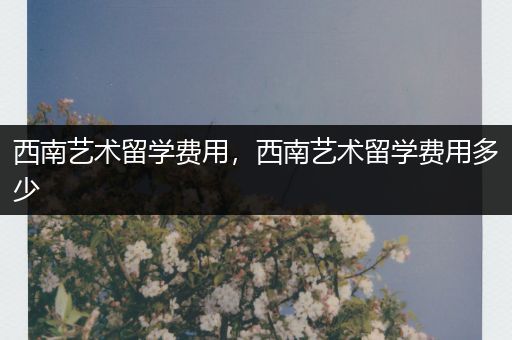 西南艺术留学费用，西南艺术留学费用多少