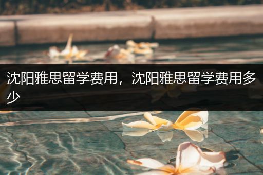 沈阳雅思留学费用，沈阳雅思留学费用多少