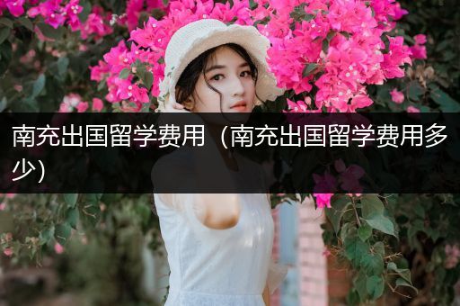 南充出国留学费用（南充出国留学费用多少）