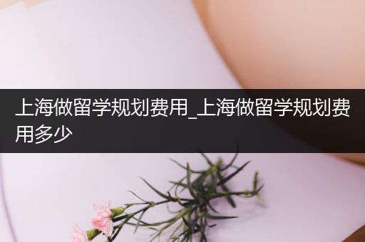 上海做留学规划费用_上海做留学规划费用多少
