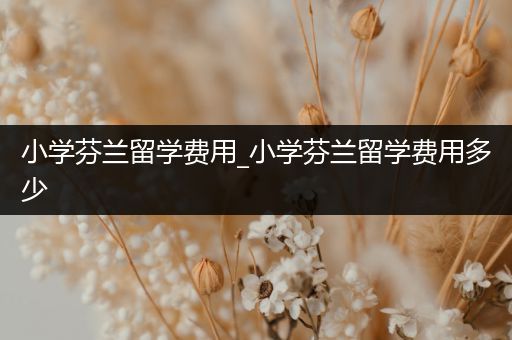 小学芬兰留学费用_小学芬兰留学费用多少