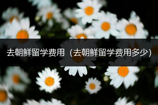 去朝鲜留学费用（去朝鲜留学费用多少）