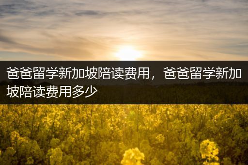 爸爸留学新加坡陪读费用，爸爸留学新加坡陪读费用多少