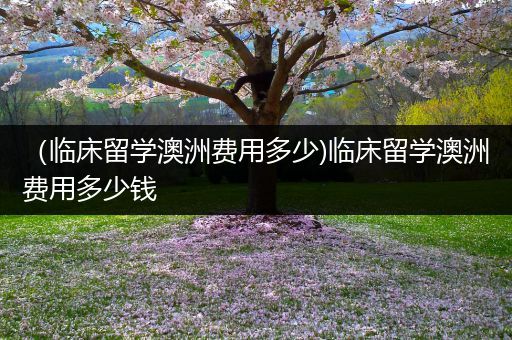 （临床留学澳洲费用多少)临床留学澳洲费用多少钱