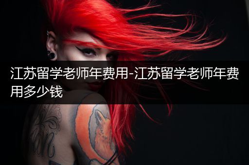 江苏留学老师年费用-江苏留学老师年费用多少钱