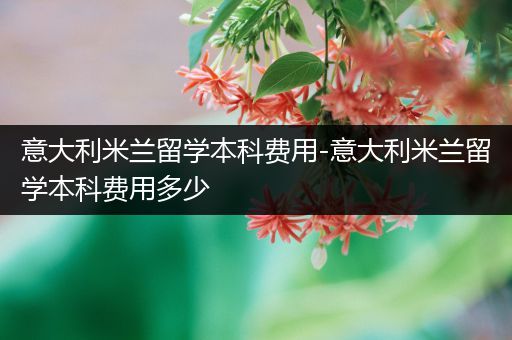 意大利米兰留学本科费用-意大利米兰留学本科费用多少