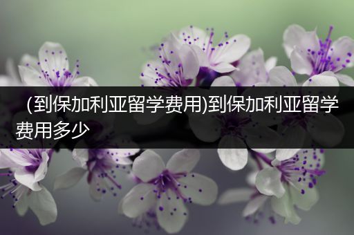 （到保加利亚留学费用)到保加利亚留学费用多少