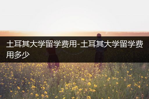 土耳其大学留学费用-土耳其大学留学费用多少