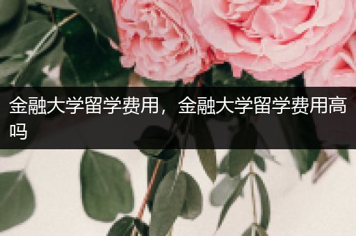 金融大学留学费用，金融大学留学费用高吗
