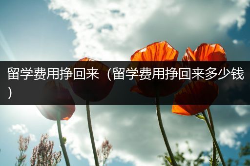 留学费用挣回来（留学费用挣回来多少钱）