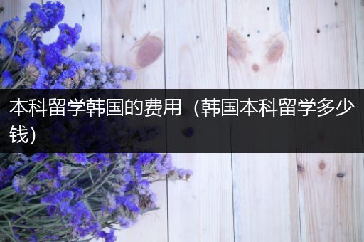本科留学韩国的费用（韩国本科留学多少钱）