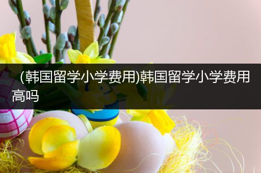 （韩国留学小学费用)韩国留学小学费用高吗