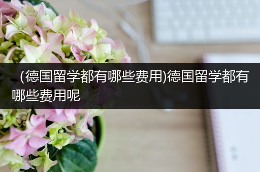 （德国留学都有哪些费用)德国留学都有哪些费用呢