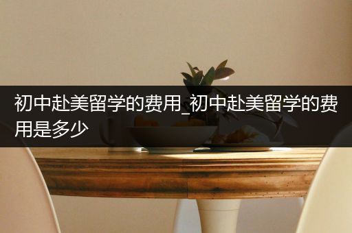 初中赴美留学的费用_初中赴美留学的费用是多少