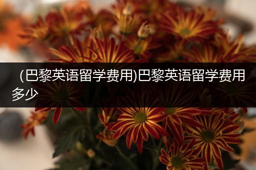 （巴黎英语留学费用)巴黎英语留学费用多少