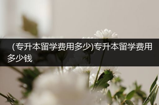 （专升本留学费用多少)专升本留学费用多少钱
