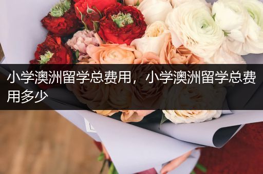 小学澳洲留学总费用，小学澳洲留学总费用多少