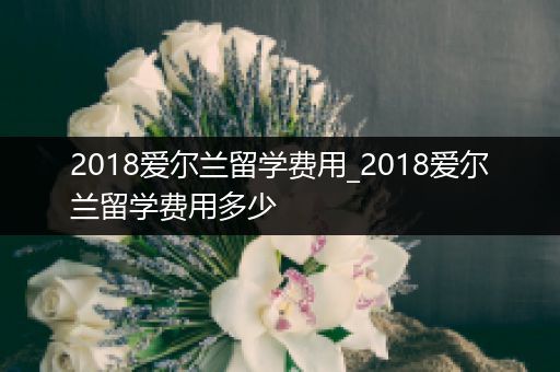 2018爱尔兰留学费用_2018爱尔兰留学费用多少