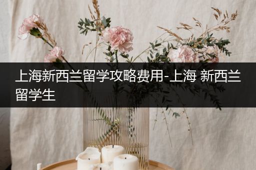 上海新西兰留学攻略费用-上海 新西兰留学生