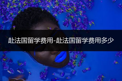 赴法国留学费用-赴法国留学费用多少