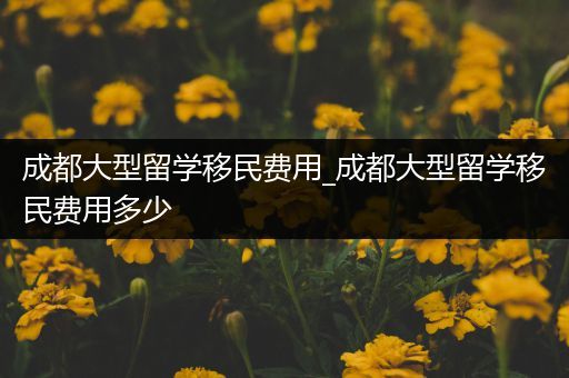 成都大型留学移民费用_成都大型留学移民费用多少