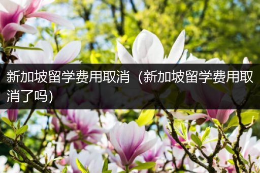 新加坡留学费用取消（新加坡留学费用取消了吗）