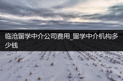 临沧留学中介公司费用_留学中介机构多少钱