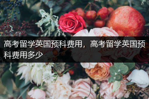高考留学英国预科费用，高考留学英国预科费用多少
