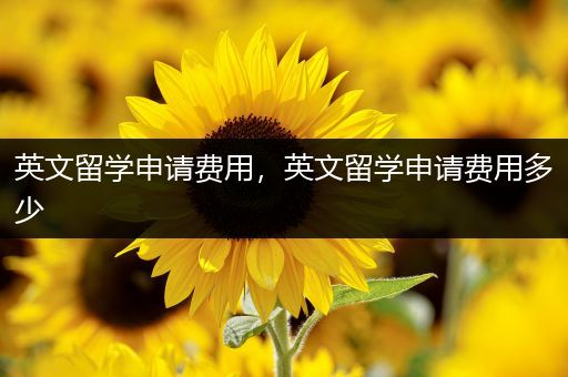 英文留学申请费用，英文留学申请费用多少