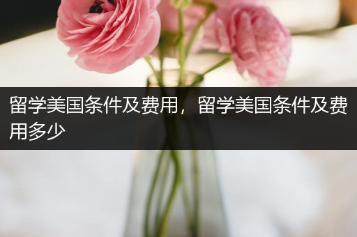 留学美国条件及费用，留学美国条件及费用多少