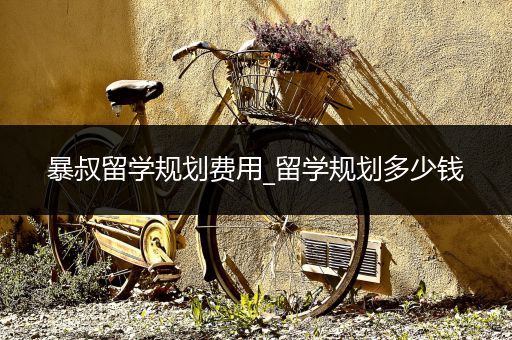 暴叔留学规划费用_留学规划多少钱