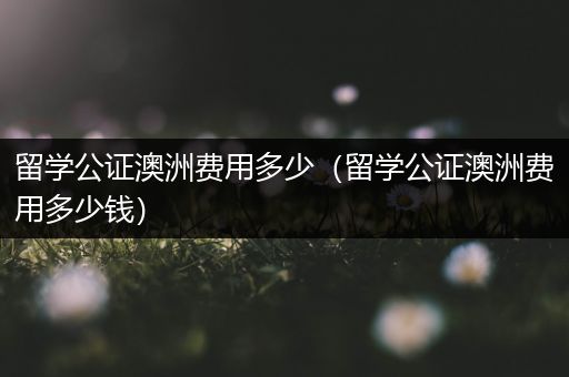 留学公证澳洲费用多少（留学公证澳洲费用多少钱）