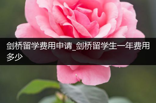 剑桥留学费用申请_剑桥留学生一年费用多少