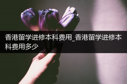 香港留学进修本科费用_香港留学进修本科费用多少