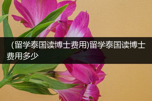 （留学泰国读博士费用)留学泰国读博士费用多少