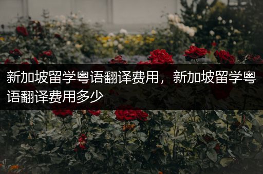 新加坡留学粤语翻译费用，新加坡留学粤语翻译费用多少