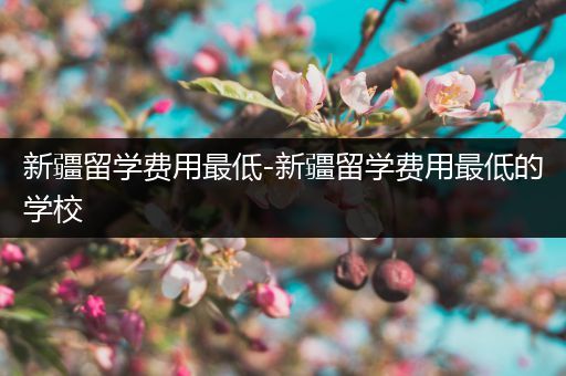 新疆留学费用最低-新疆留学费用最低的学校