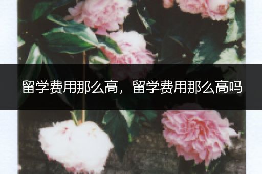 留学费用那么高，留学费用那么高吗