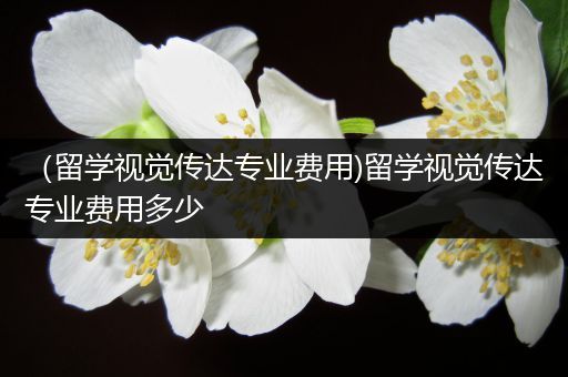 （留学视觉传达专业费用)留学视觉传达专业费用多少
