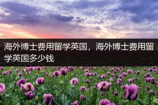 海外博士费用留学英国，海外博士费用留学英国多少钱