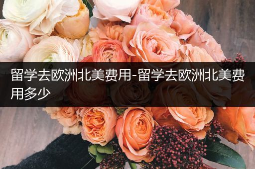 留学去欧洲北美费用-留学去欧洲北美费用多少