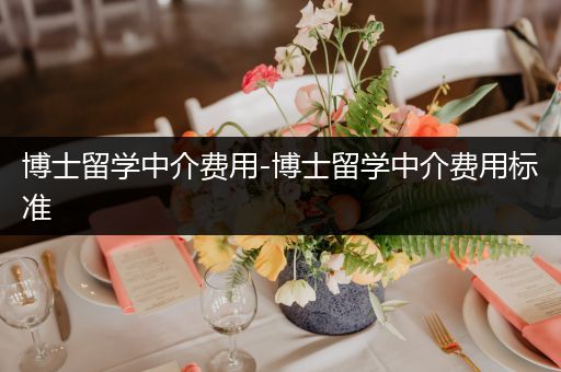 博士留学中介费用-博士留学中介费用标准