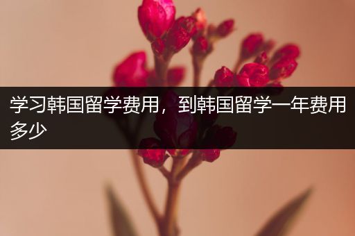 学习韩国留学费用，到韩国留学一年费用多少