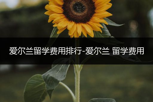 爱尔兰留学费用排行-爱尔兰 留学费用