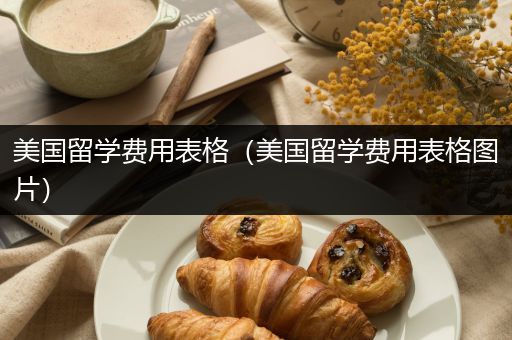 美国留学费用表格（美国留学费用表格图片）