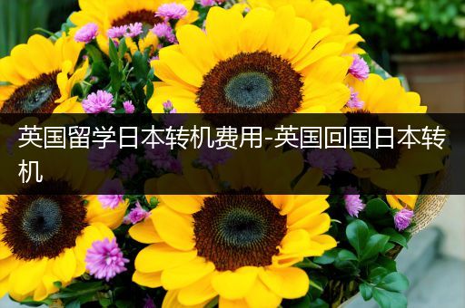 英国留学日本转机费用-英国回国日本转机