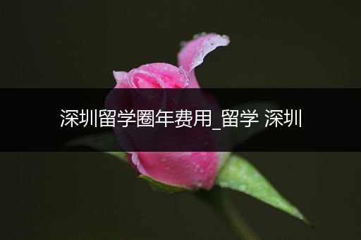 深圳留学圈年费用_留学 深圳